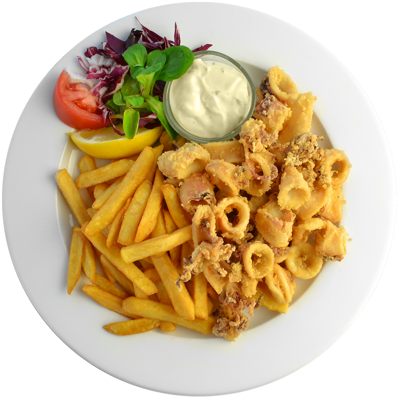 Calamari + Fries